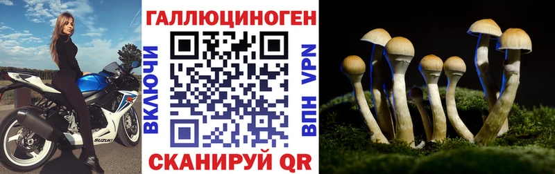 Галлюциногенные грибы ЛСД Динская